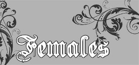 Gridlock Bullies American Bully females